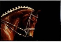 Картина Конь с кристаллами Swarovski (2348)