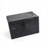 Аккумулятор Long Way 12V10Ah/20Hr (LW-6FM10)