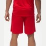 Шорты баскетбольные PerformDry Division Star, красный (1745150)