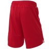 Шорты баскетбольные PerformDry Division Star, красный (1745150)