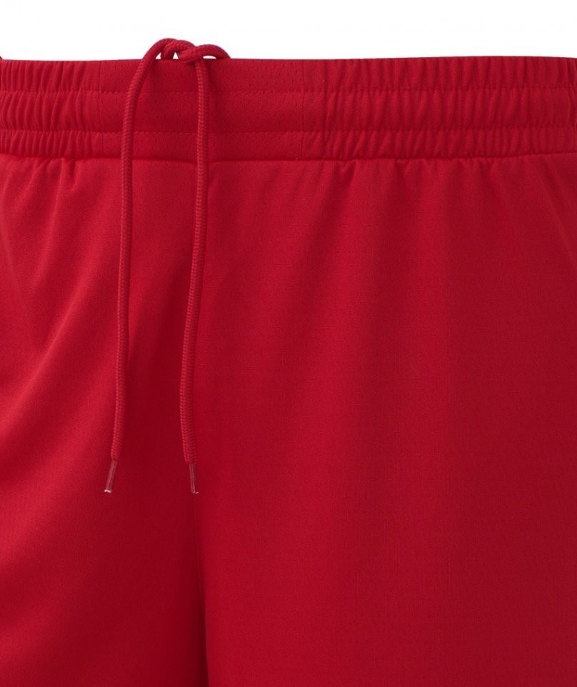 Шорты баскетбольные PerformDry Division Star, красный (1745150)