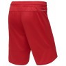 Шорты баскетбольные PerformDry Division Star, красный (1745150)