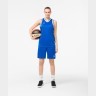 Шорты баскетбольные PerformDry Division Star, синий (1745143)