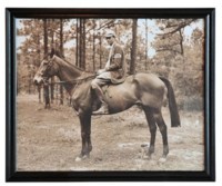 Картина Мальчик на лошади TO-AIPOT392BOHRFTZ, дерево, стекло, mixed, ROOMERS FURNITURE