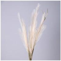 Цветок искусственный помпасная трава, цвет кремовый Lefard (535-358)