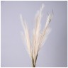 Цветок искусственный помпасная трава, цвет кремовый Lefard (535-358)