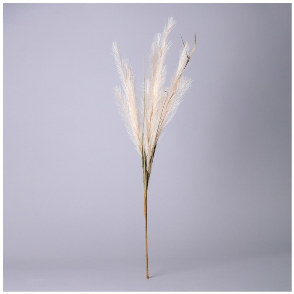 Цветок искусственный помпасная трава, цвет кремовый Lefard (535-358)