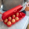 Контейнер для яиц eggs to go, organic, красный (70863)