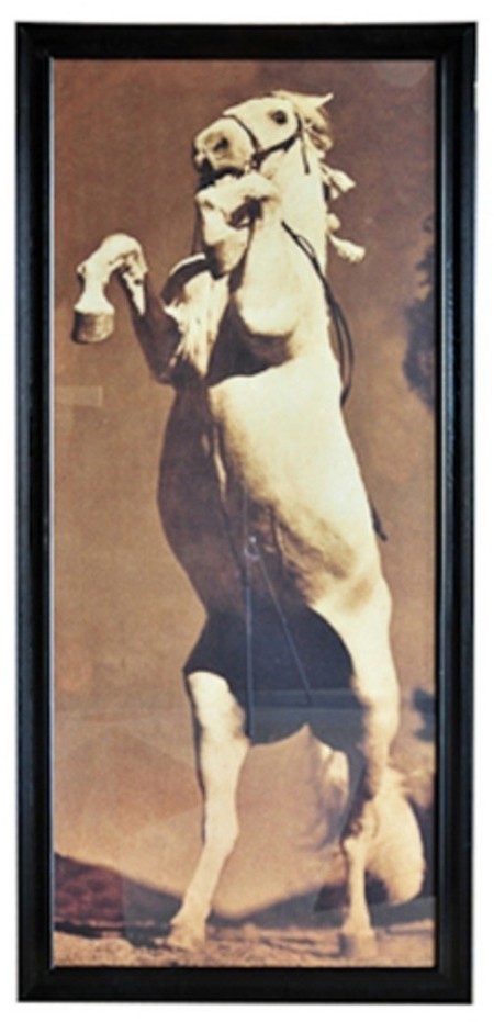 Картина Лошадь Стенли TO-AIPOT595STHRFTZ, дерево, стекло, mixed, ROOMERS FURNITURE