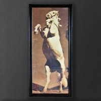 Картина Лошадь Стенли TO-AIPOT595STHRFTZ, дерево, стекло, mixed, ROOMERS FURNITURE