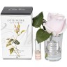 Диффуз.Rose Bud French Pink,спрей White Gardenia 5мл уп (TT-00006247)