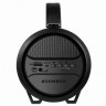 Колонка портативная DEFENDER G24 10 10 Вт Bluetooth FM-тюнер microSD чёрная 65124 513687 (94408)