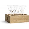 SagaForm Набор рюмок для шнапса Nature, 6 шт 5017704