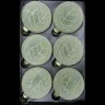 Набор стеклянных шаров  ø 8 см 6 шт. зеленый в инее с листьями в дисплее (87219)