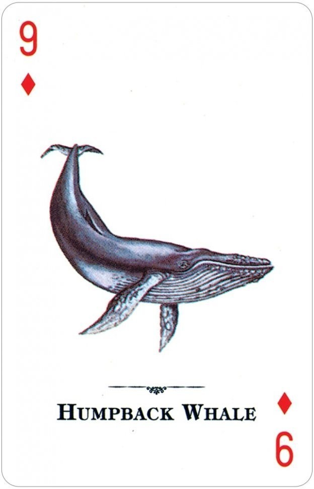 Карты "Endangered Species of the Natural World Playing Cards" (47075)