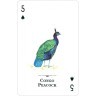 Карты "Endangered Species of the Natural World Playing Cards" (47075)