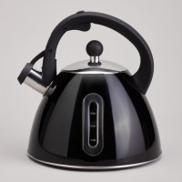 Чайник со свистком и мерной шкалой, 3,2л Agness (940-021)