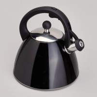 Чайник со свистком и мерной шкалой, 3,2л Agness (940-021)