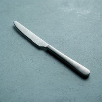 Нож десертный YG148-DK, нержавеющая сталь 18/10, stone washed, 1966