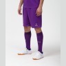 Гетры футбольные CAMP BASIC SOCKS, фиолетовый/серый/белый (2076931)
