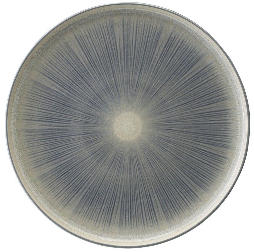 Набор из двух тарелок eclipse из коллекции essential, D27 см (78069)