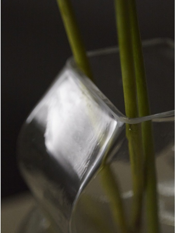 Ваза wavy, 25 см (77523)