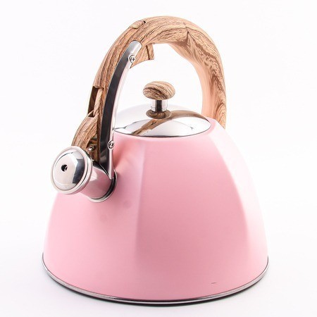 Чайник со свистком 3 л WINNER (5062-1)