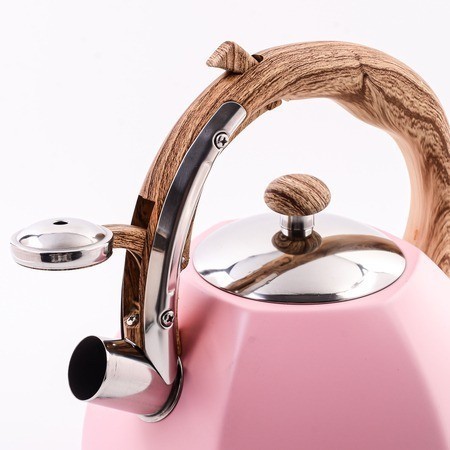 Чайник со свистком 3 л WINNER (5062-1)