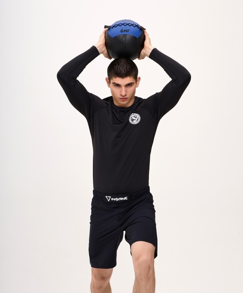 Медбол INSANE IN24-WB100, 6 кг, синий (2111038)