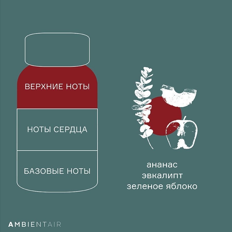 Диффузор ароматический gifting, Корица и яблоко, 100 мл (72533)
