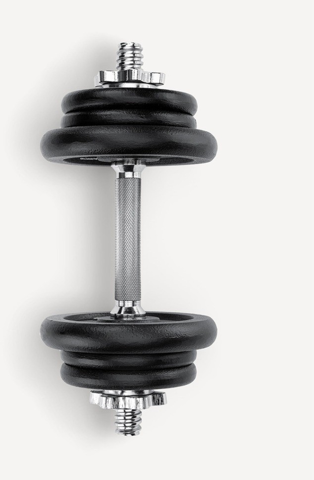 Гантель разборная чугунная в коробке STARFIT DB-715, 10 кг (2107616)