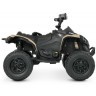 Детский электроквадроцикл BRP Can-Am Renegade (12V, полный привод, хакки) (DK-CA002-KHAKI)