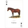 Карты "Horses of the Natural World Playing Cards" (47069)
