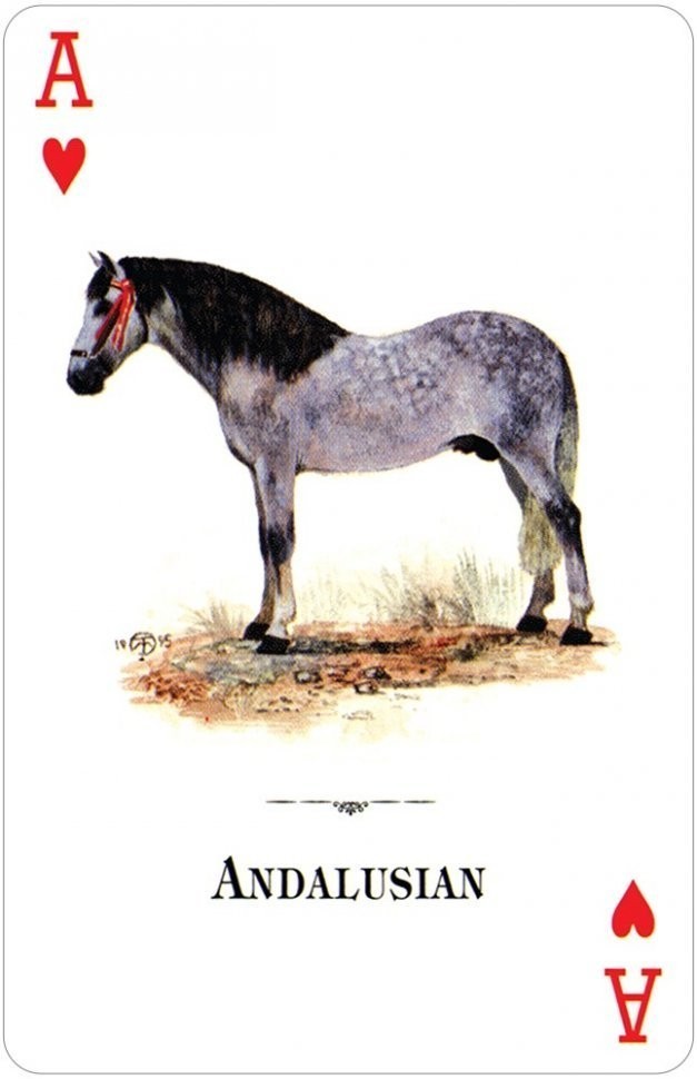 Карты "Horses of the Natural World Playing Cards" (47069)