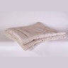 Одеяло легкое с хлопковым волокном Natura Sanat чехол из льна Дивный лен 172х205 ДЛ-О-4-2 (89169)