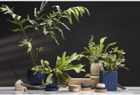 Диффузор ароматический cypress, jasmine &amp; patchouli из коллекции edge, 200 мл, бежевый (76428)