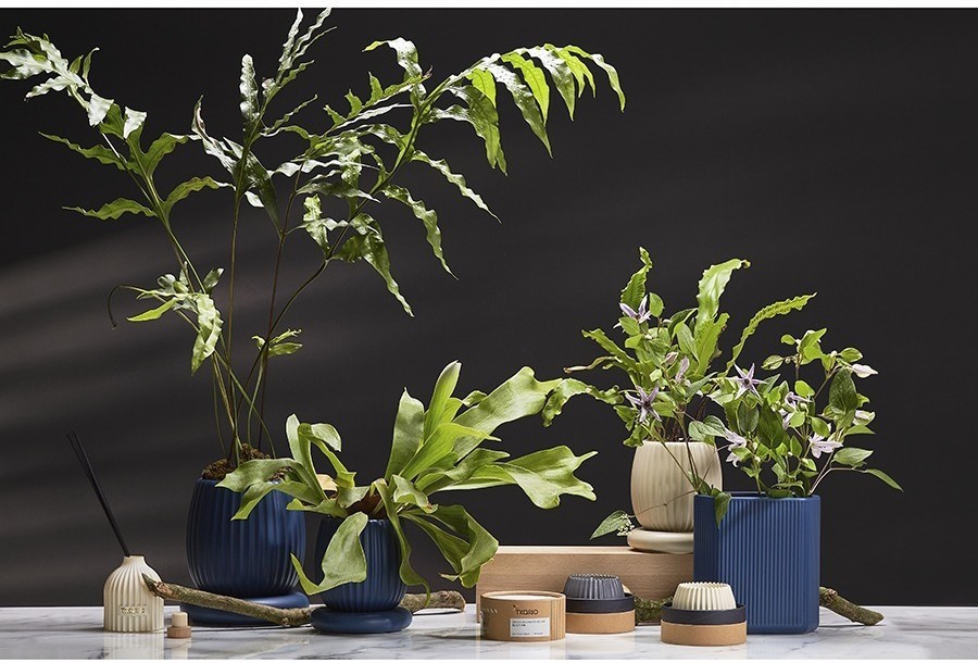 Диффузор ароматический cypress, jasmine & patchouli из коллекции edge, 200 мл, бежевый (76428)