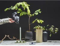 Подсвечник для 3 свечей из каменной керамики оливкового цвета из коллекции essential (76075)