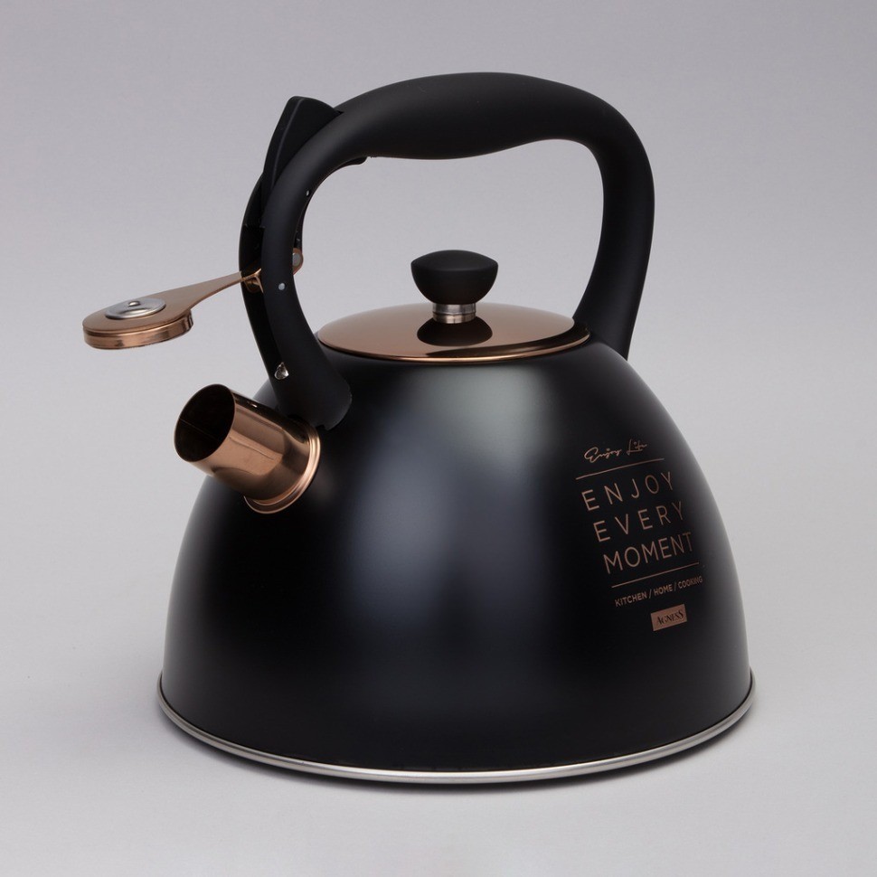 Чайник agness со свистком, 3,0 л термоаккумулирующее дно, индукция (914-157)