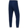 Брюки спортивные JOGEL ESSENTIAL Club Cotton Pants Z4, темно-синий (2130798)