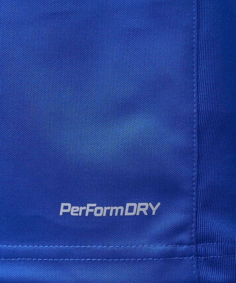 Джемпер тренировочный DIVISION PerFormDRY Pro Training Top, синий (1949056)