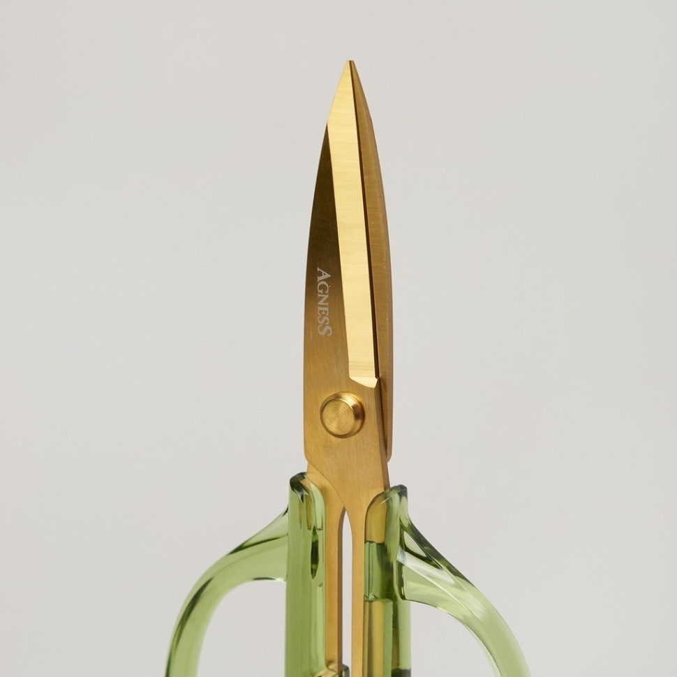 Кухонные ножницы цвет изумруд, титановое покрытие лезвия, 19,5 см Agness (671-027)