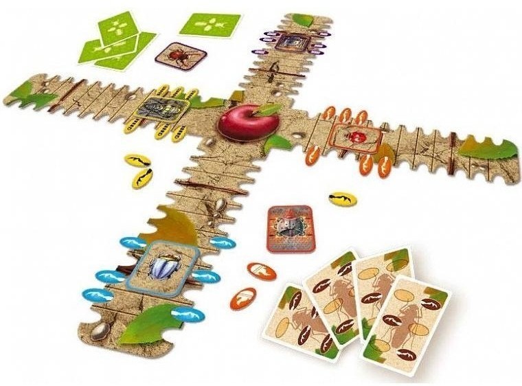 Гонки жуков (29993)