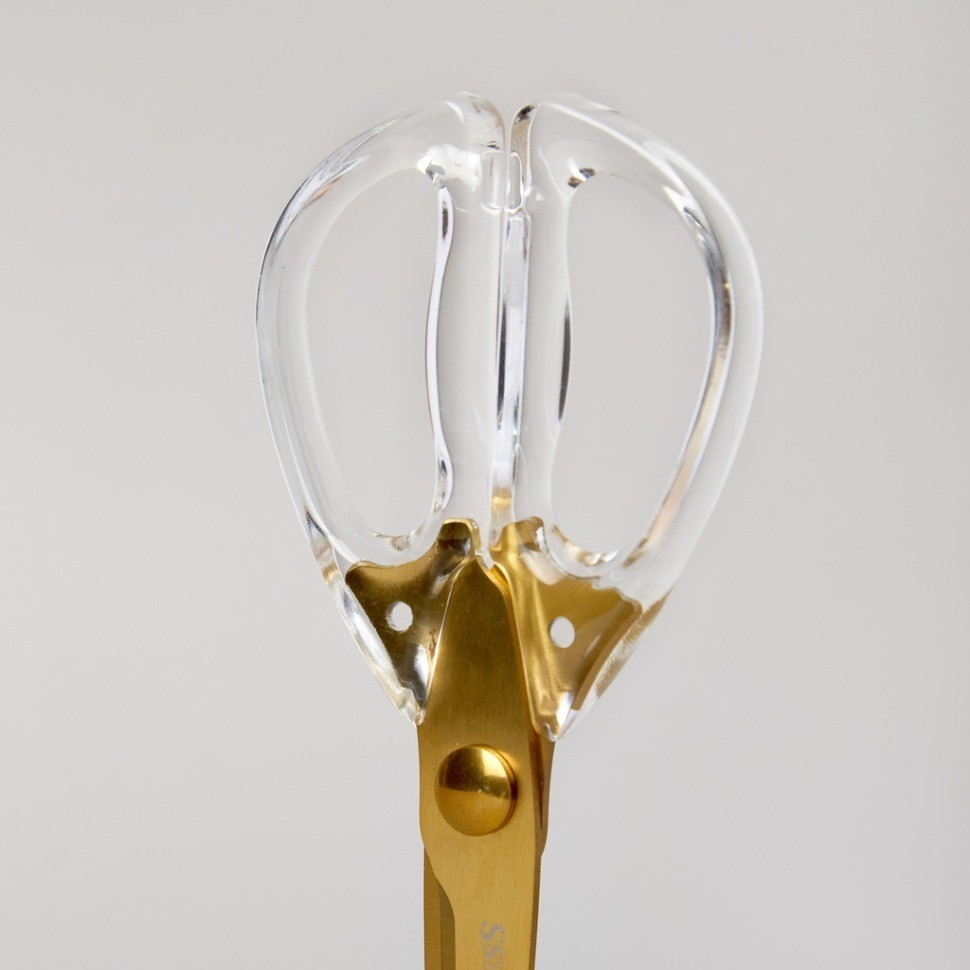 Кухонные ножницы цвет айвори, титановое покрытие лезвия, 20,5см Agness (671-026)