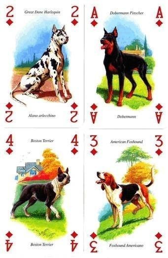 Карты "Dogs Playing Cards" (44911)