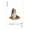 Карты "Dogs of the Natural World Playing Cards" (47066)