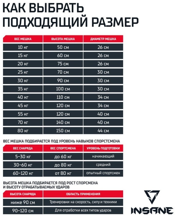 Мешок боксерский INSANE PB-01, 100 см, тент, 35 кг, черный (2043458)