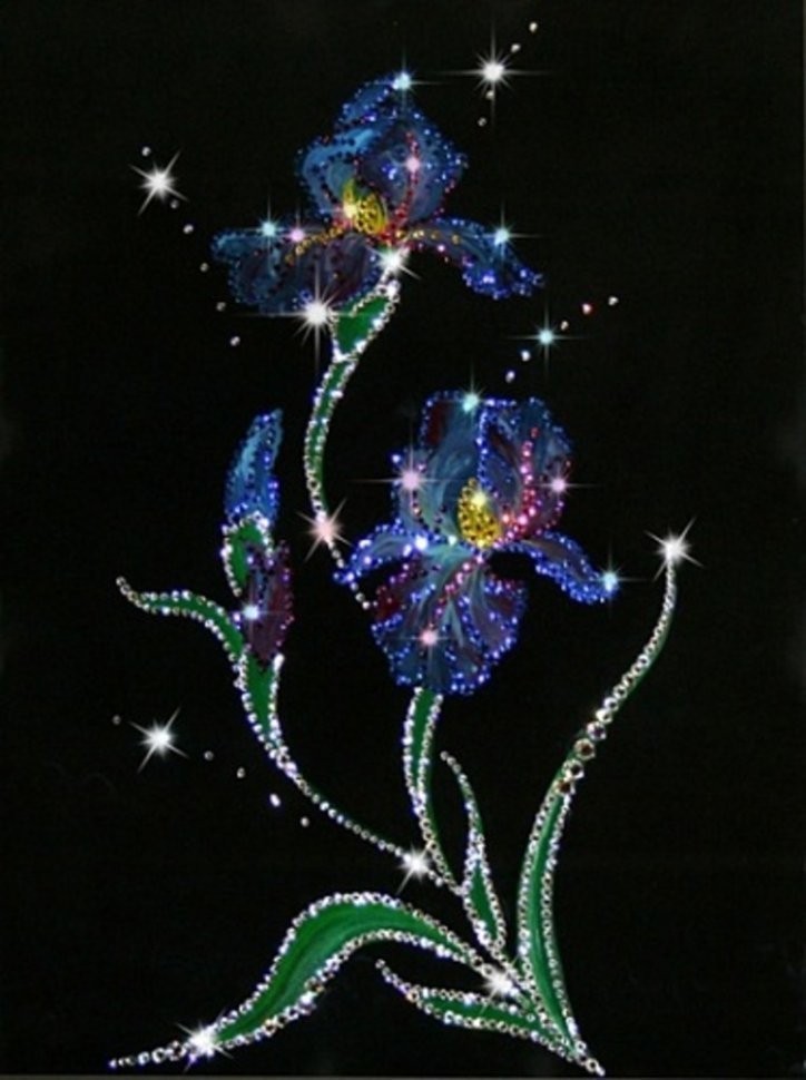 Картина Ирисы с кристаллами Swarovski (1164)