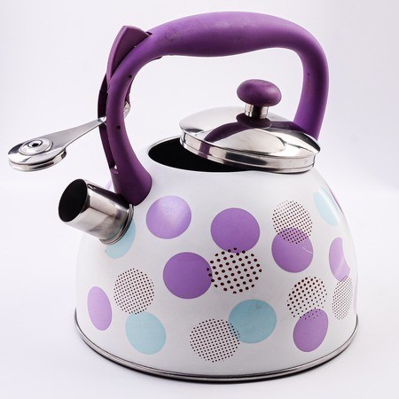 Чайник со свистком 3 л (5065-1)