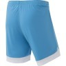 Шорты игровые DIVISION PerFormDRY Union Shorts, голубой/белый/белый (1751843)